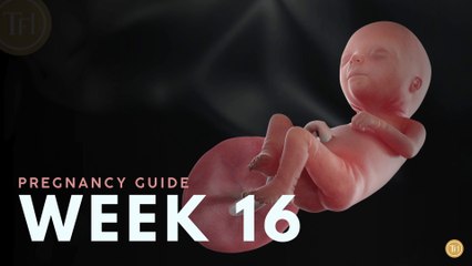 What to Expect at Week 16 | Week by Week Pregnancy Guide