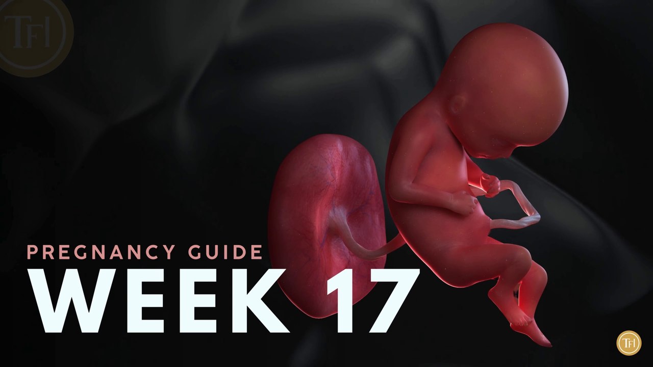 What to Expect at Week 17 | Week by Week Pregnancy Guide