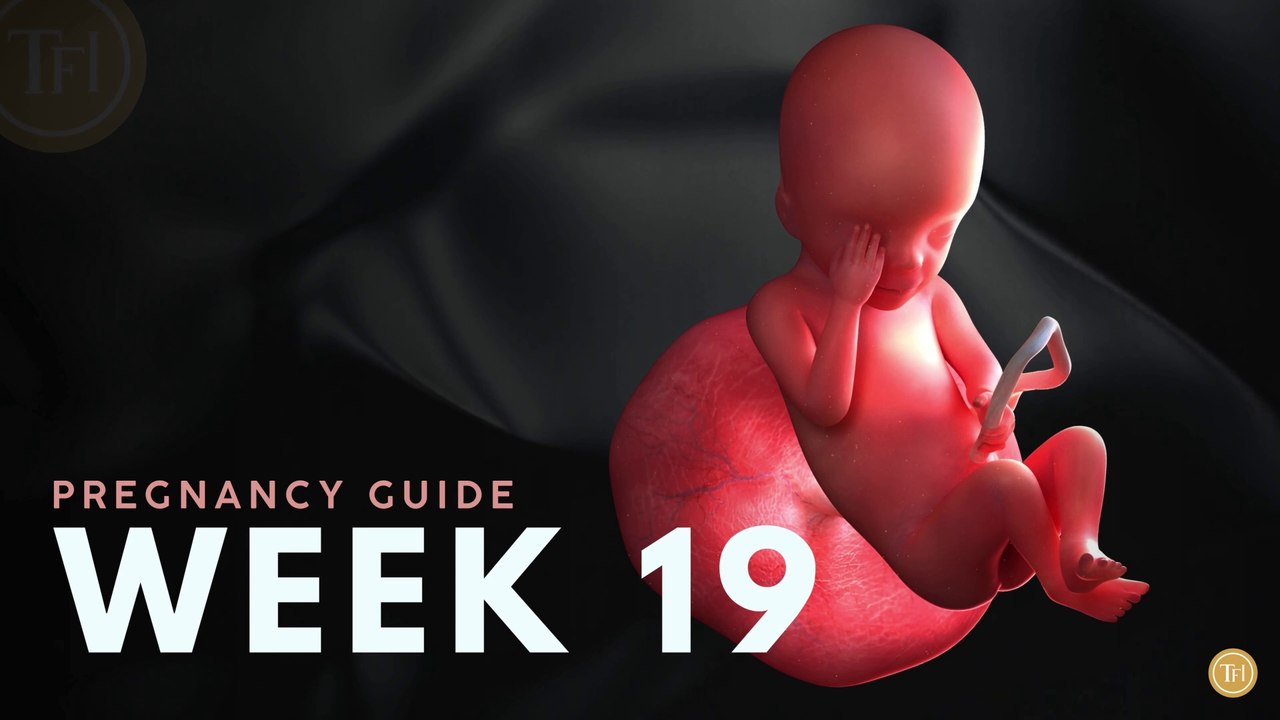 What to Expect at Week 19 | Week by Week Pregnancy Guide