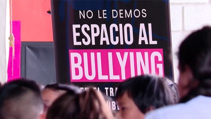 tn7-campaña-pretende-disminuir-bullying-en-transporte-110225