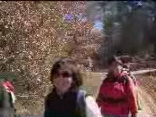 Chateauneuf de Bordette.3