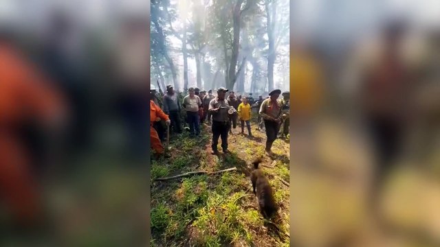 Los brigadistas mapuches que combaten el fuego denuncian las detenciones arbitrarias en la Comarca Andina