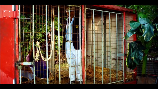 Türkler Çıldırmış Olmalı🎞️🎞️KOMEDİ🎞️🎞️- Film izle -