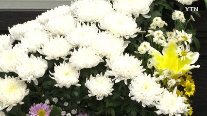 "우리 하늘이의 꿈은 장원영" 빈소에 직접 근조화환 보낸 아이브 [지금이뉴스] / YTN