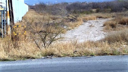 Aumentó el número de solicitudes de libertad de gravamen