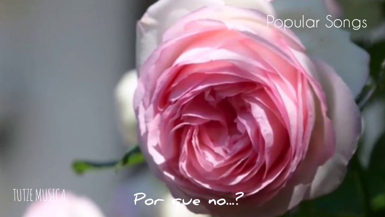 POR QUE NO...?