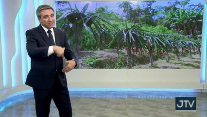 Produção em Guararema-SP: cultivo de variedades de pitaia, uma fruta exótica, com origem no México