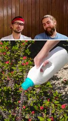Unbelievable! 🤯 What They Made With Empty Bottles Will Shock You!