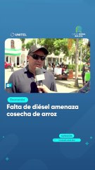 Falta de diésel amenaza cosecha de arroz