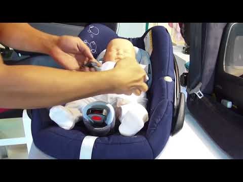 Installing a child safety seat with a seat belt - GN Guides