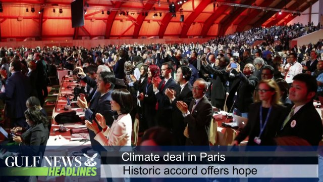 Woman makes history in Saudi polls - GN Headlines