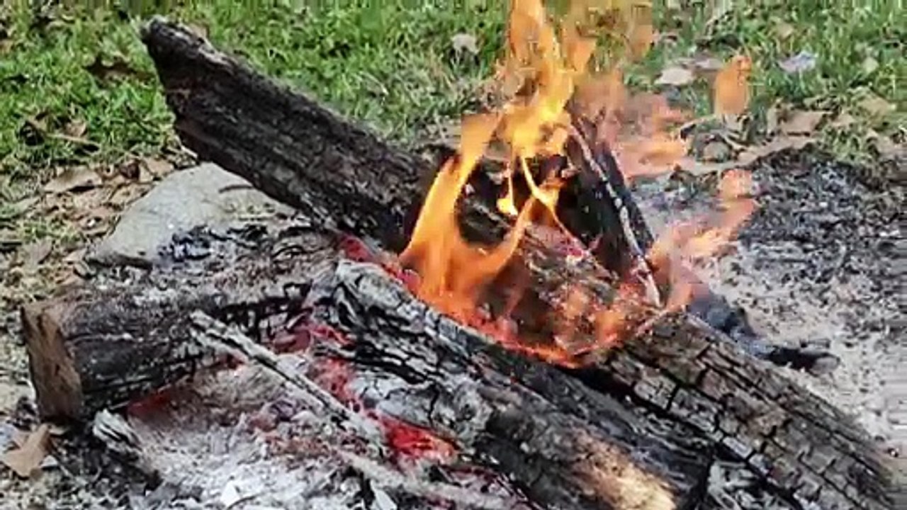 Fireside Relaxation