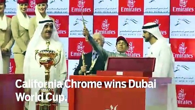 California Chrome wins Dubai World Cup - GN Headlines