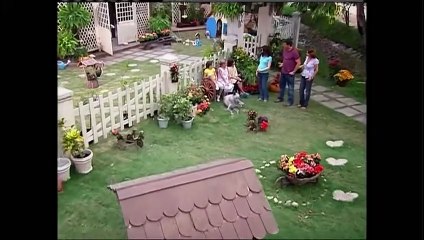 Caminhos do Coração 1ª Temp. Cap. 71