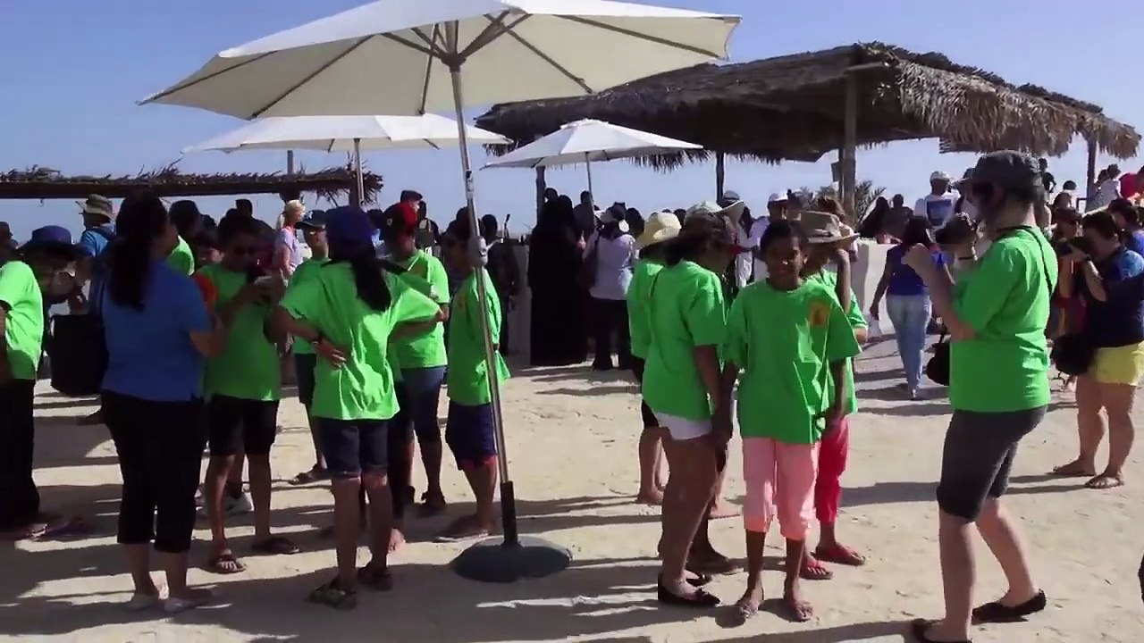 Rescued sea turtles released into wild after rehabilitation