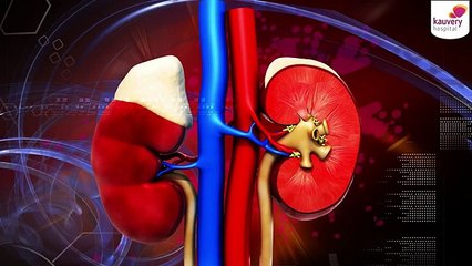 Tips to Care for Your Kidneys During the Monsoon