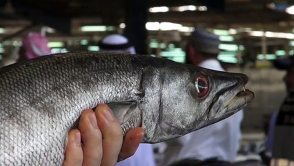 How to choose the perfect fish - GN Guides