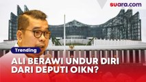 Deputi OIKN Ali Berawi Tiba-tiba Mengundurkan Diri, Apa Alasannya?