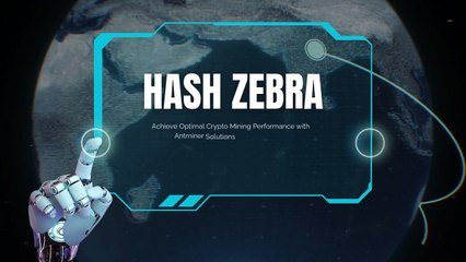 HashZebra.io: Your Go-To for Antminer Solutions ⚡