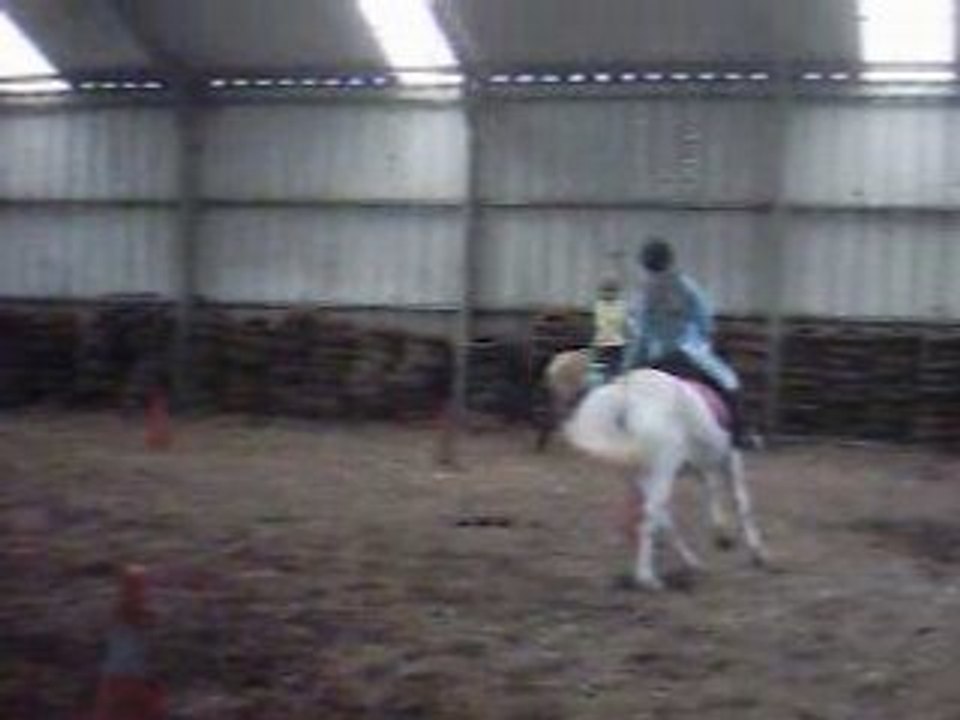 Cours de cheval