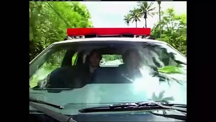 Caminhos do Coração 1ª Temp. Cap. 81