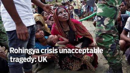 Rohingya crisis unacceptable tragedy: UK - GN Headlines