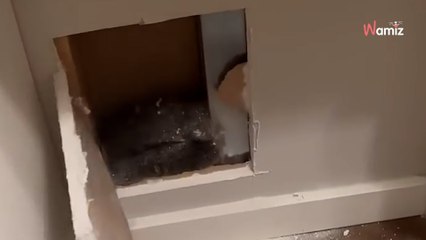 Mysteriöse Geräusche hinter der Wand: Frau traut ihren Augen nicht