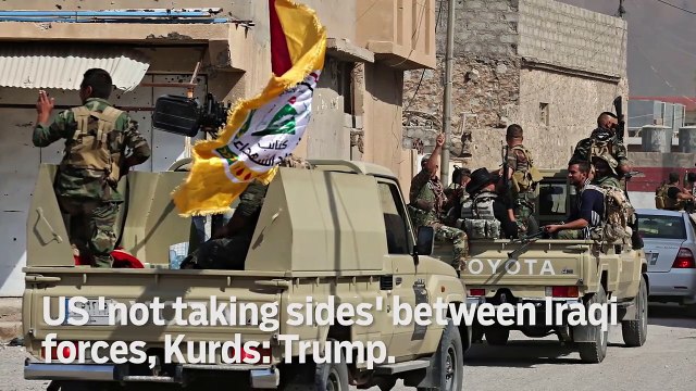 36 killed in Portugal forest fires - GN Headlines