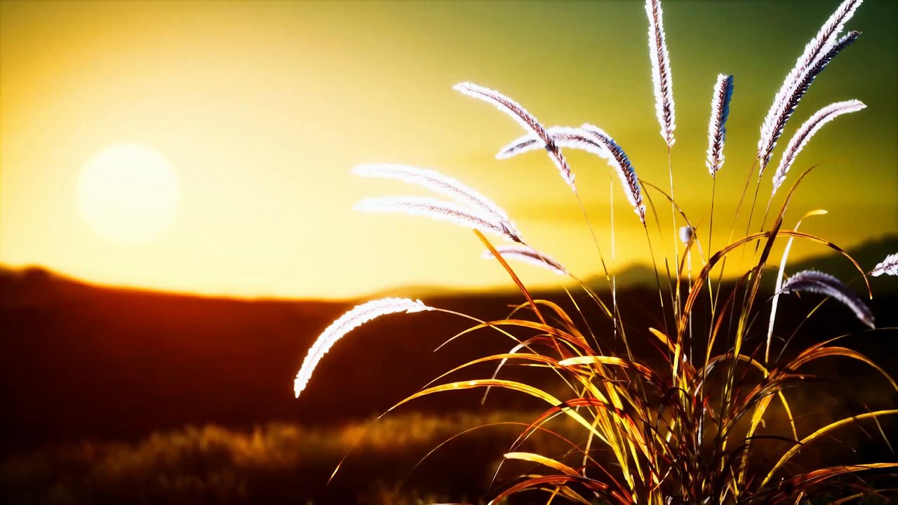 Wichtel-Motivation: Mit Wichtelübungen zur Inneren Ruhe