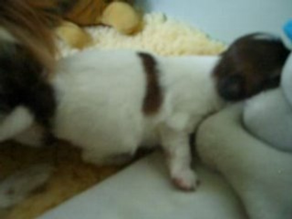 Angie lave sa pépétte qui dort