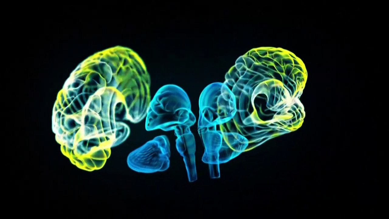 Videografik: Liebesrauch – ein biochemischer Cocktail