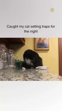 She pushed the boundaries too far this time