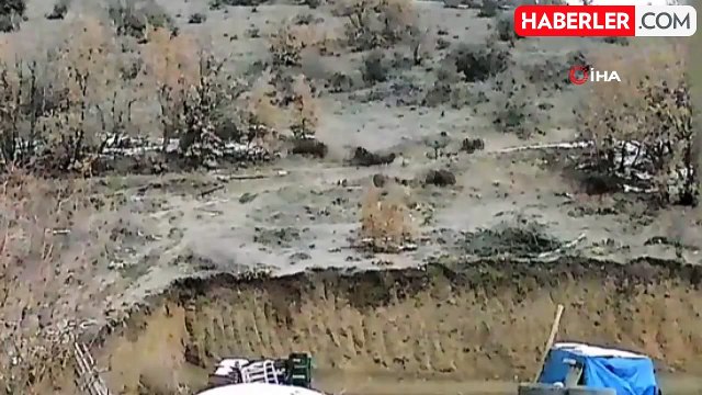 Yiyecek Bulmakta Zorlanan Domuz Sürüsü Köye İndi