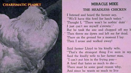 "Mike the Headless Chicken: The Strangest True Story You’ll Ever Hear!