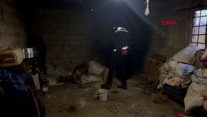 Şanlıurfa merkezli PKK operasyonu