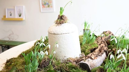 Funeral firm offering world's first 'living coffin' - made out of mushrooms