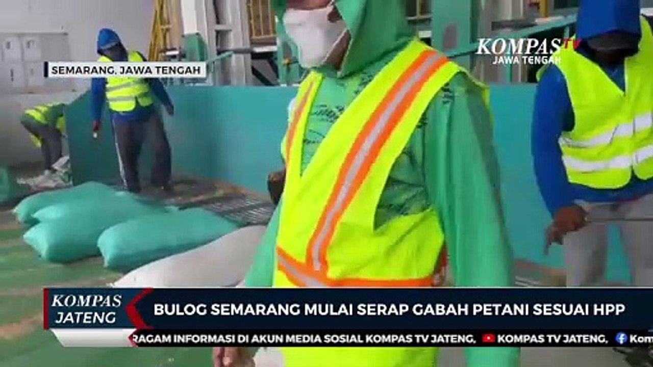 Bulog Semarang Mulai Serap Gabah Petani Sesuai HPP