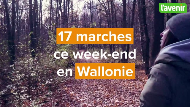 17 marches organisées ce week-end des 15 et 16 février en Wallonie