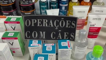Quadrilha especializada em furtar farmácias é presa em Jundiaí