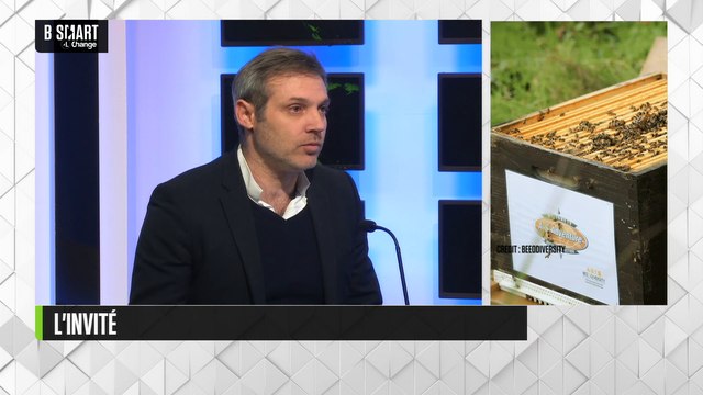 SMART IMPACT - Les abeilles, outils de mesure de la biodiversité