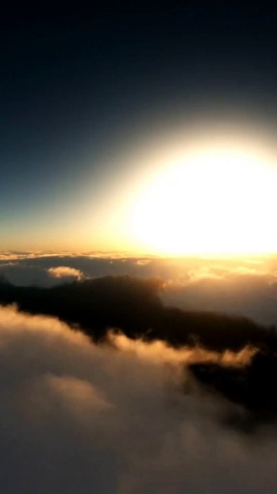 ✨Without Slaves✨Liberi da ogni forma di oppressione e schiavitù.È un nostro diritto e un nostro dovere lottare per un mondo dove nessuno debba subire ingiustizie.🌍✊🏼💔