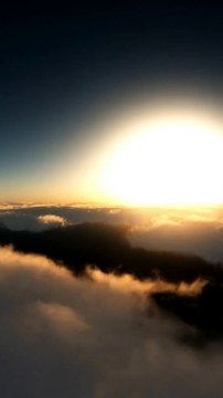 ✨Without Slaves✨Liberi da ogni forma di oppressione e schiavitù.È un nostro diritto e un nostro dovere lottare per un mondo dove nessuno debba subire ingiustizie.🌍✊🏼💔