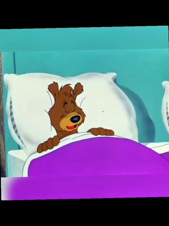 #chase #2d #bears #funnycartoon #lol #sn2sg #bed #couplegoals #sunnight #situation #prank #sunnightmusic #xcllcx #sunnightpop #sunnightjazz #haha #retro #vintage #animation #bestie #besties #badboy #badgirl #wakeup #fusionmusic #experimentalmusic #indie