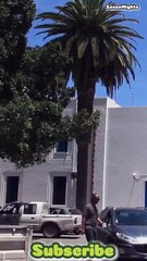 Sidi Bou Said in a Minute: Tunisia's Blue and White Jewel