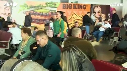 Il progetto "Zen dog" all'aeroporto di Skopje, un cane da terapia per i viaggiatori