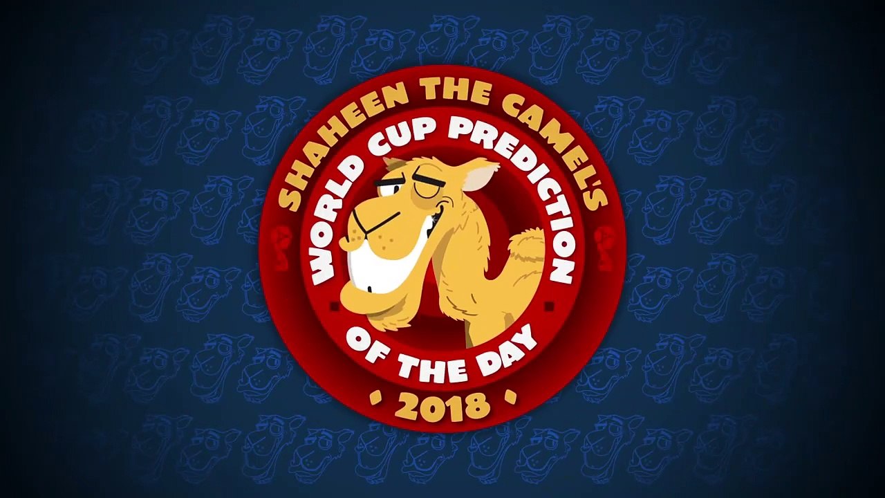 Shaheen the World Cup predicting camel is back