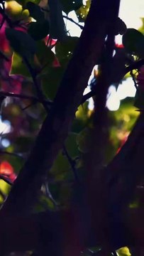 دعاء - اللهم إنا نعوذ بك من عذاب جهنم