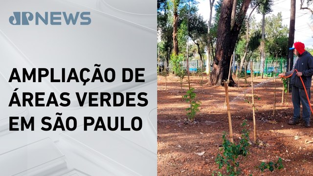Prefeitura de SP lança programa Bosques Urbanos