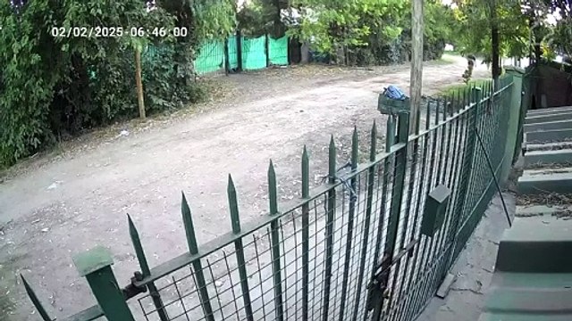 Brutal ataque en Merlo: lo golpearon con una piedra en la cabeza para robarle y quedó en terapia intensiva