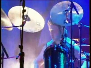 waltaria - forest (cover cure)